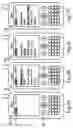 Fig. 03 - Auxiliary operation system of handheld electronic device