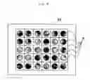 Fig. 08 - Support, printed material and reagent kit having enzyme fixed thereon, method for preparing the support, method of storing enzyme and method for restoration enzymes