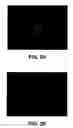 Fig. 04 - Novel proteins and novel genes encoding the same
