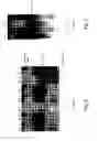 Fig. 03 - Biomarker for determining predisposition and/or prognosis of hepatocellular carcinoma