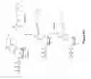 Fig. 08 - Nucleotide analogs