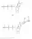 Fig. 02 - Nucleotide analogs