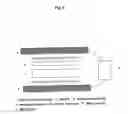 Fig. 09 - Carriers having biological substance