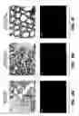 Fig. 11 - Achaete-Scute Like-2 Polypeptides and Encoding Nucleic Acids and Methods for the Diagnosis and Treatment of Tumor