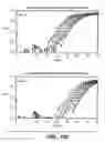 Fig. 13 - Achaete-Scute Like-2 Polypeptides and Encoding Nucleic Acids and Methods for the Diagnosis and Treatment of Tumor