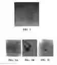 Fig. 02 - Carbon nanotube binding peptides