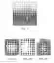 Fig. 02 - Carbon nanotube binding peptides