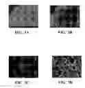 Fig. 03 - Carbon nanotube binding peptides
