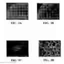 Fig. 03 - Carbon nanotube binding peptides