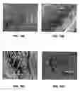 Fig. 11 - Molecular conjugate