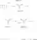 Fig. 20 - Molecular conjugate