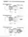 Fig. 06 - Antibody Specific for Human 4-1BB Receptor
