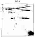 Fig. 07 - Stable storage of proteins