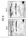 Fig. 09 - Stable storage of proteins