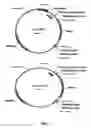 Fig. 02 - Tools and methods useful in characterising the immunotoxic activity of xenobiotic substances