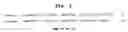 Fig. 04 - Viral material and nucleotide fragments associated with multiple sclerosis, for diagnostic, prophylactic and therapeutic purposes