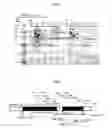 Fig. 04 - Reductase gene for alpha-substituted-alpha, beta-unsaturated carbonyl compound