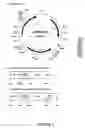 Fig. 02 - Lactobacilli expressing biologically active polypeptides and uses thereof