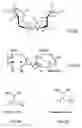 Fig. 04 - Binding layer and method for its preparation and uses thereof