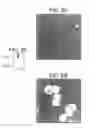 Fig. 04 - HEPATOBLASTS AND METHOD OF ISOLATING SAME