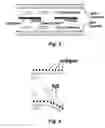 Fig. 03 - Large scale parallel immuno-based allergy test and device for evanescent field excitation of fluorescence