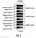 Fig. 04 - Large scale parallel immuno-based allergy test and device for evanescent field excitation of fluorescence