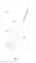 Fig. 02 - Portable apparatus and stylus usable as support prop