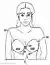 Fig. 01 - Half brassiere