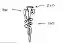 Fig. 01 - Golf accessory