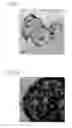 Fig. 03 - Exhaust gas purification catalyst