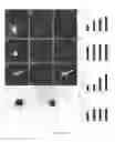 Fig. 04 - Tctex-1-related polypeptides