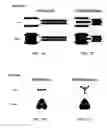 Fig. 02 - Methods for blocking TNF-alpha activity in mammals with trimeric soluble TNF receptors