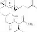Fig. 30 - Therapeutic agents and methods of use thereof for the modulation of angiogenesis