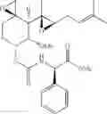 Fig. 32 - Therapeutic agents and methods of use thereof for the modulation of angiogenesis
