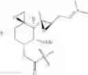 Fig. 55 - Therapeutic agents and methods of use thereof for the modulation of angiogenesis