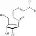 Fig. 22 - Nicotinoyl riboside compositions and methods of use