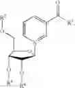 Fig. 28 - Nicotinoyl riboside compositions and methods of use