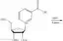 Fig. 32 - Nicotinoyl riboside compositions and methods of use