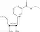 Fig. 35 - Nicotinoyl riboside compositions and methods of use