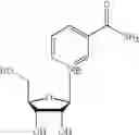 Fig. 37 - Nicotinoyl riboside compositions and methods of use