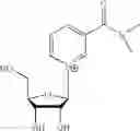 Fig. 41 - Nicotinoyl riboside compositions and methods of use