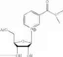 Fig. 43 - Nicotinoyl riboside compositions and methods of use
