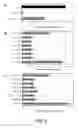 Fig. 02 - siRNA Molecules and Method of Suppressing Gene Expression With the Use of the Same