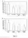 Fig. 03 - siRNA Molecules and Method of Suppressing Gene Expression With the Use of the Same