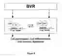 Fig. 09 - Methods of modulating cell cycle and cell signaling pathways using biliverdin reductase