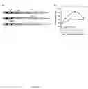Fig. 07 - Somatic transgene immunization and related methods