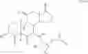 Fig. 53 - 7α-Hydroxyacetyl and 7α-Hydroperoxyacetyl-substituted steroid compounds