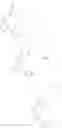 Fig. 303 - Pyrimidinyl-thiophene kinase modulators