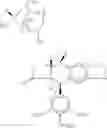 Fig. 33 - Method of treating cancers with SAHA and pemetrexed