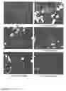 Fig. 03 - Methods of suppression of rage gene expression and rage triggered inflammatory genes by selected age-inhibitors